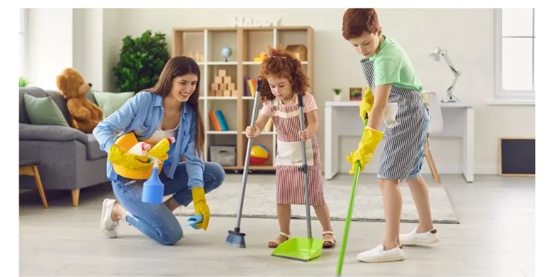 Application To Tehsil Nazim For Cleanliness
