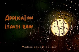 Leave Application For Rain
