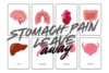 Stomach Pain Leave Letter. - Post Thumbnail